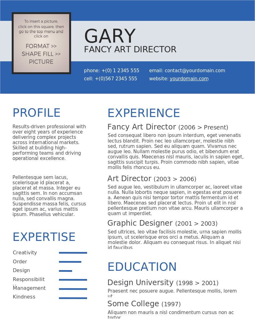 Blue Denim CV preview